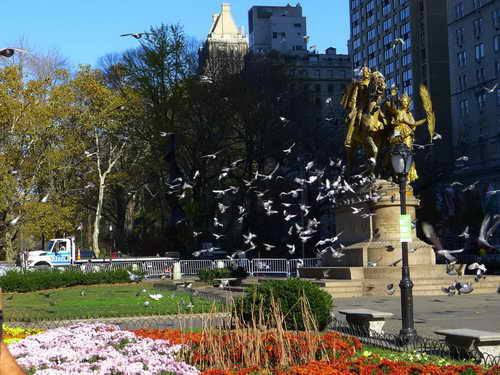 NYC_2012-11-22 13-06-23_P1070507